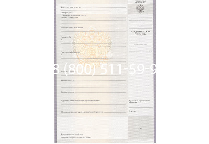 Купить Академическая справка образца 2010-2011 год для колледжа в Арзамасе Купить Академическая справка образца 2010-2011 год для колледжа в Арзамасе