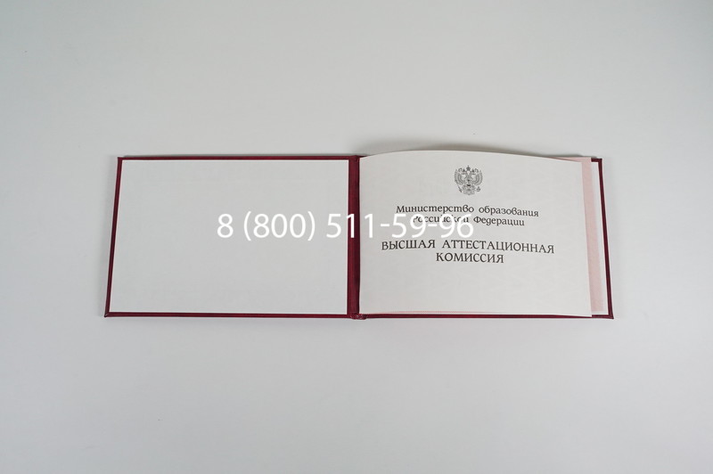 Диплом доктора наук 1995-2006 года в Арзамасе Диплом доктора наук 1995-2006 года в Арзамасе