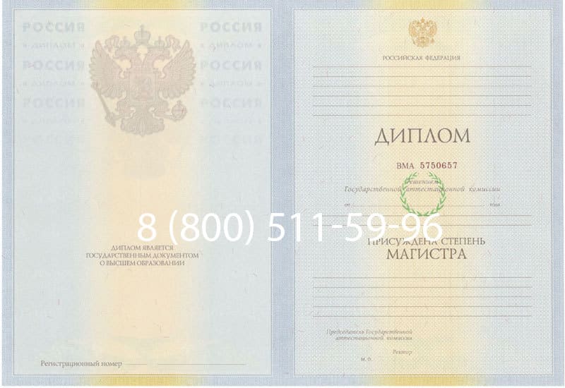 Купить Диплом магистра 2010-2011 годов в Арзамасе