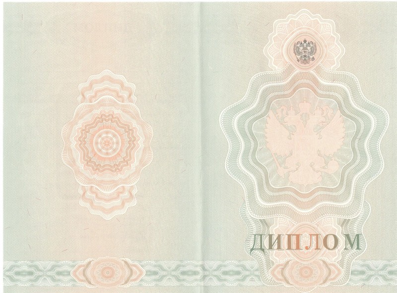 Купить Диплом о начальном образовании  2007-2009 годов в Арзамасе