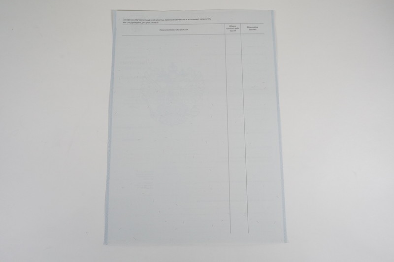 Диплом о начальном образовании  2007-2009 годов в Арзамасе