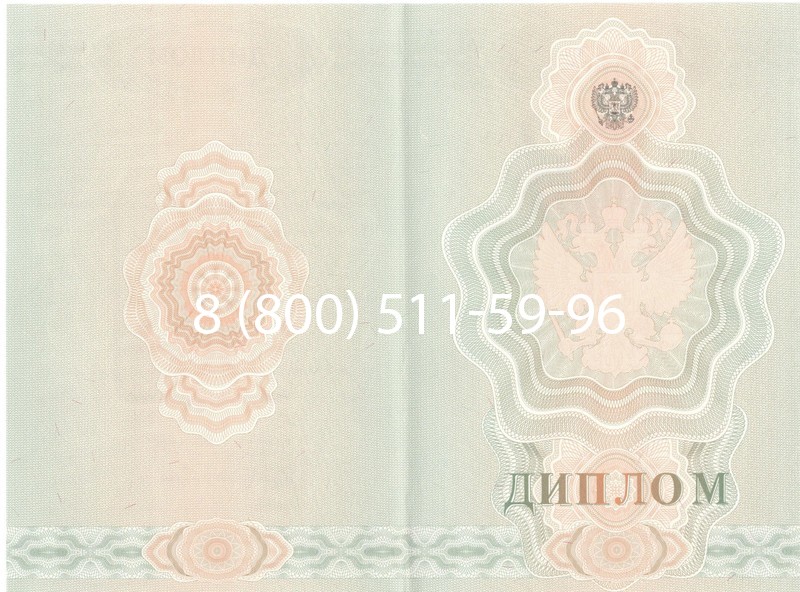 Купить Диплом училища 2007-2009 годов в Арзамасе